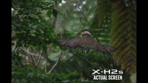 Fujifilm X X H2s Body