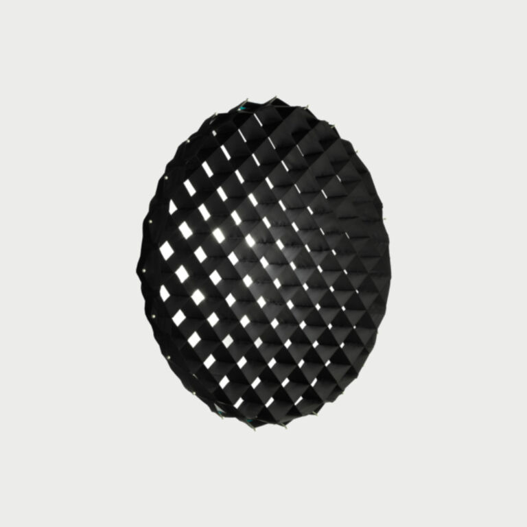 Broncolor Light Grid 40 For Para 88