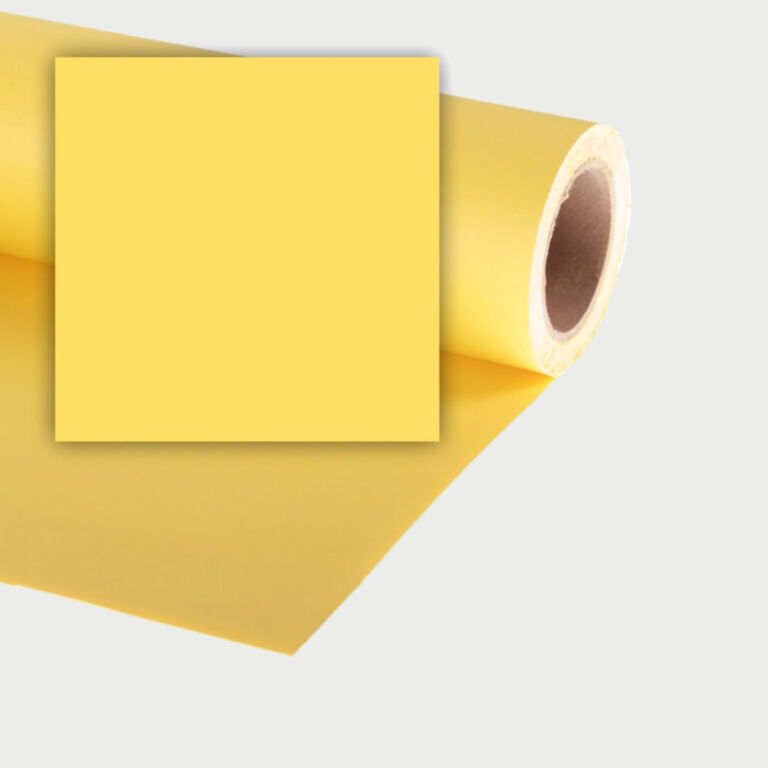 Colorama Dandelion _16 Seamless Paper Background 2 72m X 11m