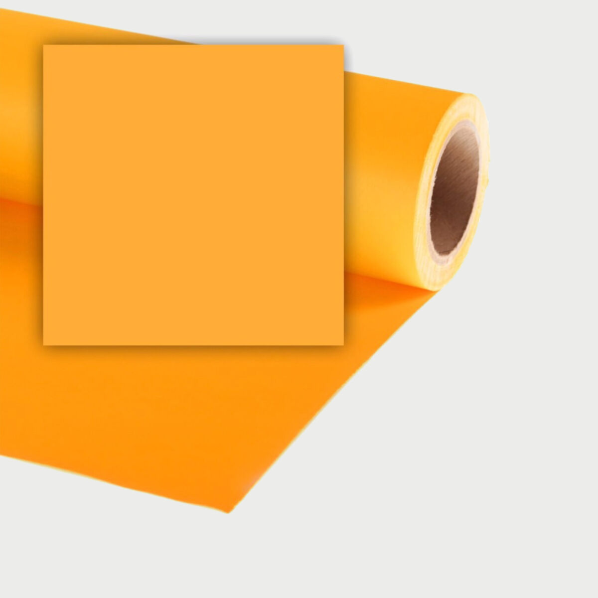 Newsletter pop-up image header