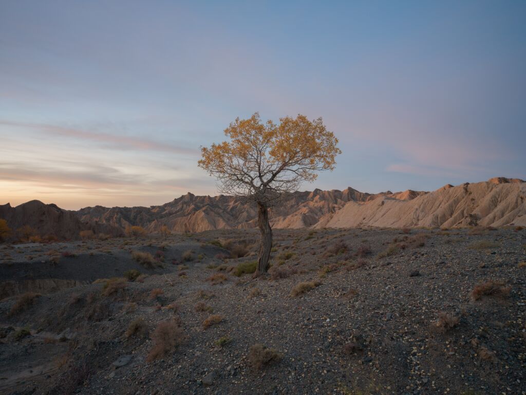Hasselblad Xcd 20 35mm F 3 2 4 5 E Lens