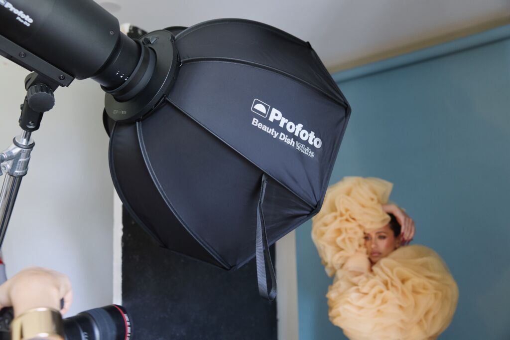 Profoto Beauty Dish Silver