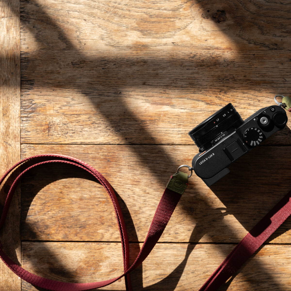 Newsletter pop-up image header