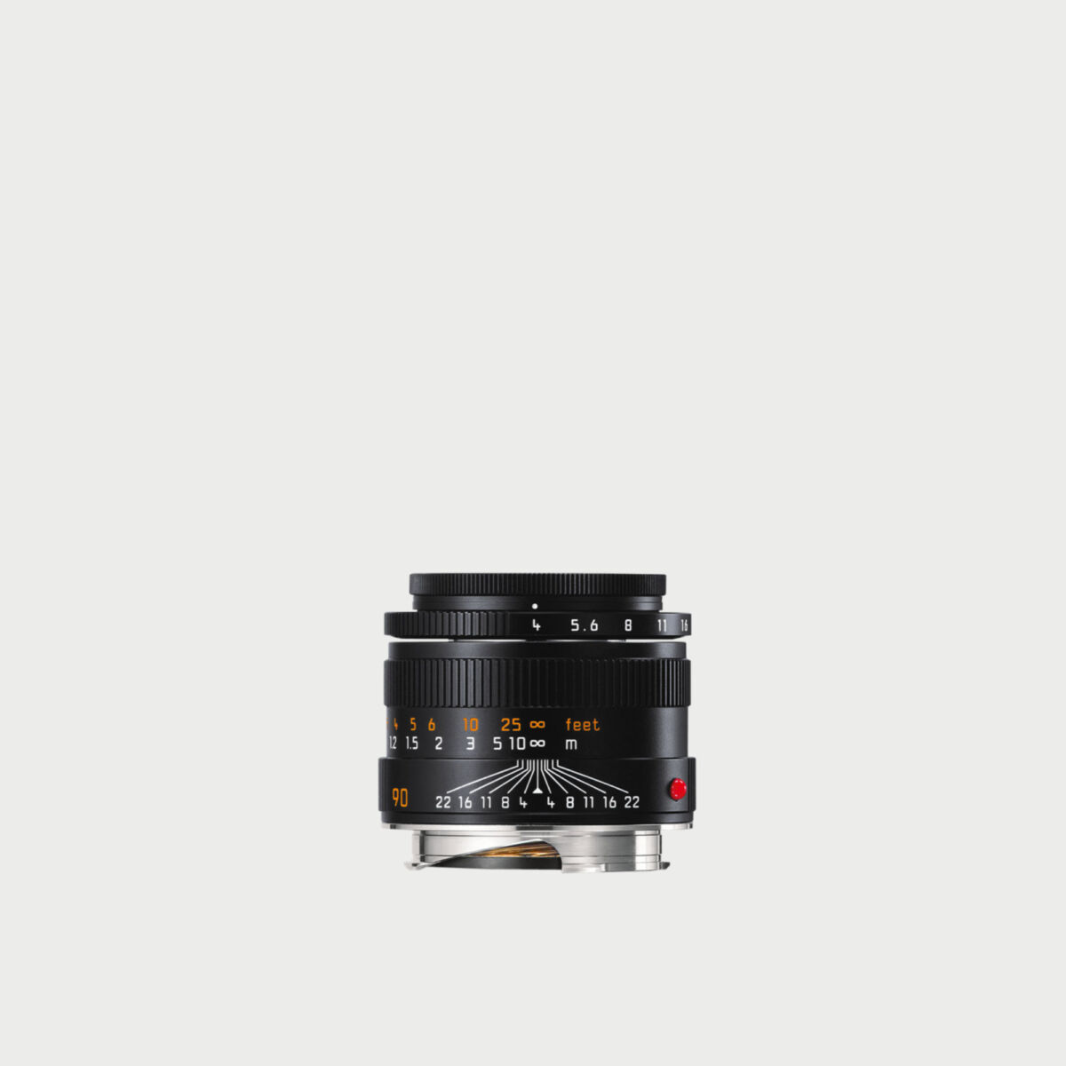 Newsletter pop-up image header