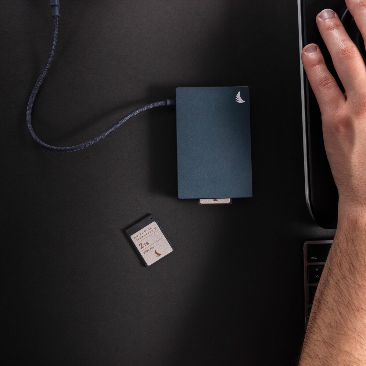 Newsletter pop-up image header