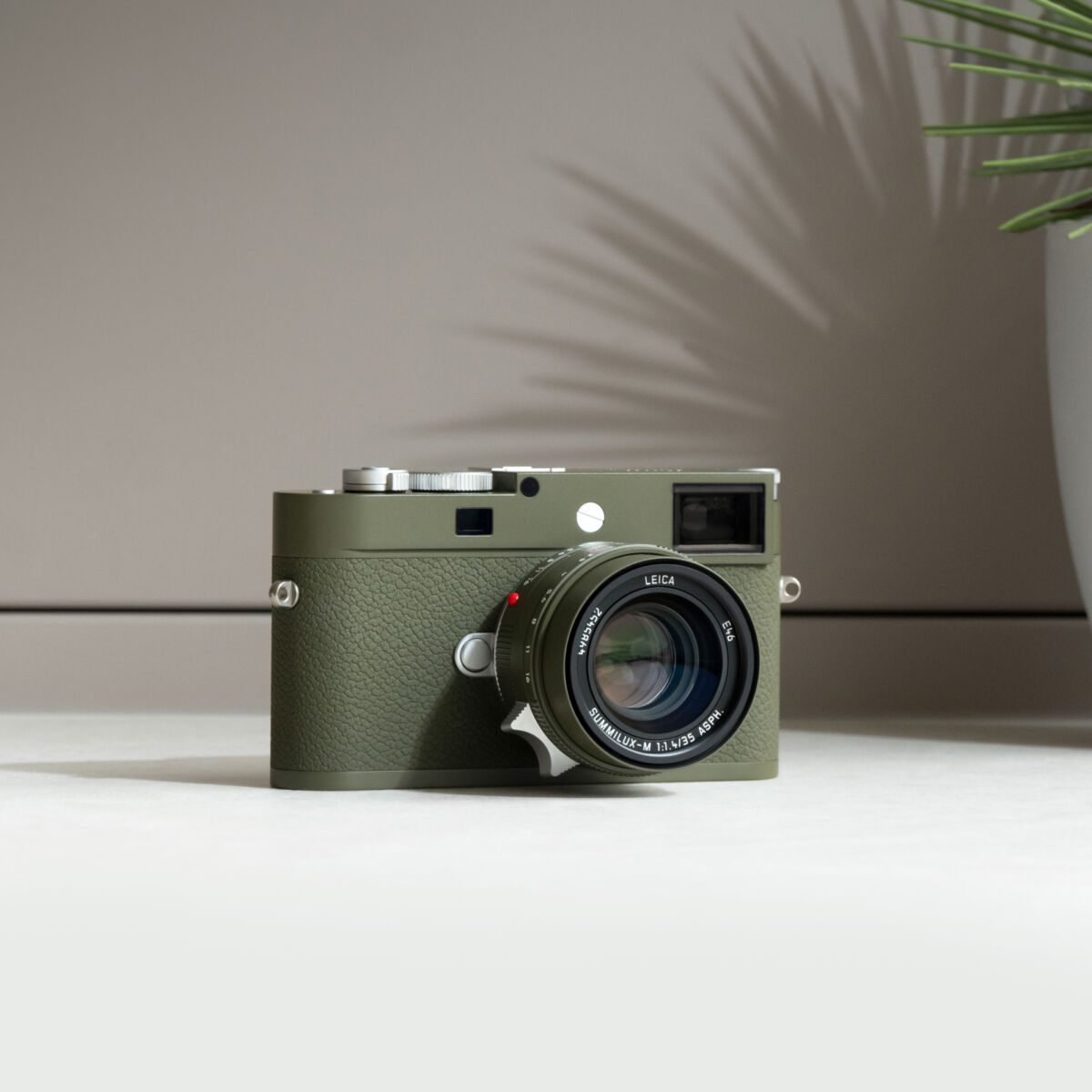 Newsletter pop-up image header