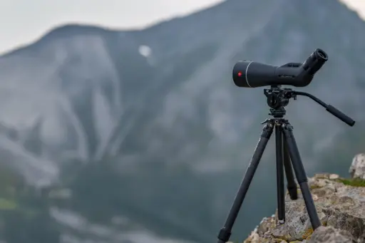 Leica Apo Televid 82 Angled 45 With Zoom Eyepiece 25x 50x Ww Asph