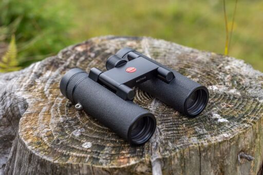 Leica Noctivid Compact 10x25 Black Leather Compact Binoculars