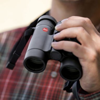 Leica Ultravid 8×32 Hd Plus Black Binoculars