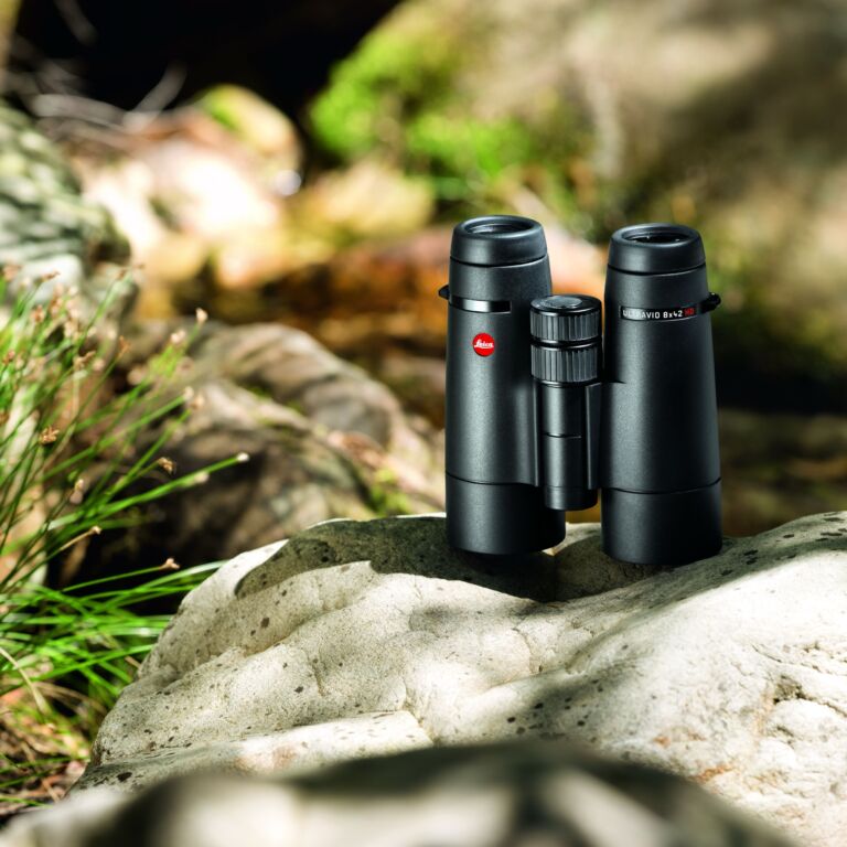 Leica Ultravid 8×42 Hd Plus Black Binoculars