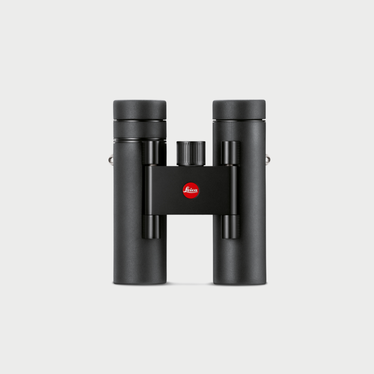 Noctivid Compact 10x25 Black Compact Binoculars